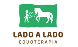 Linda Carta do Cavalo ao Praticante de Equoterapia – Equoideias®